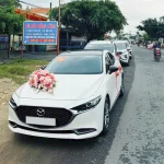 Kinh nghiệm đặt xe du lịch đi tỉnh: Những điều cần lưu ý