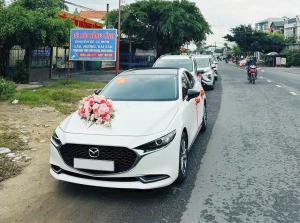 Kinh nghiệm đặt xe du lịch đi tỉnh: Những điều cần lưu ý